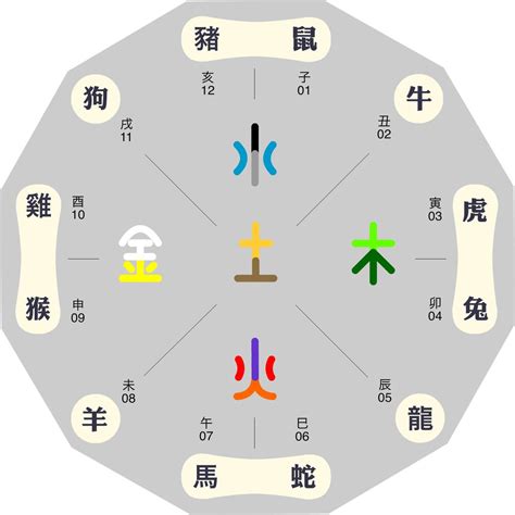 五行樓層|怎樣根據五行喜忌和生肖選擇樓層風水？